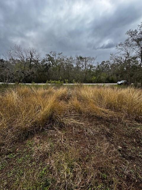 244 Rabbit Trail, Lake Jackson, Texas image 8