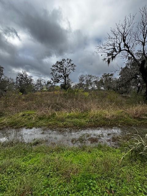 244 Rabbit Trail, Lake Jackson, Texas image 3