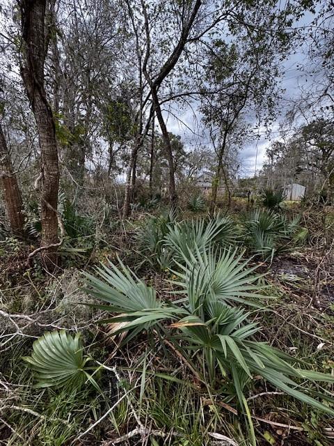 244 Rabbit Trail, Lake Jackson, Texas image 10