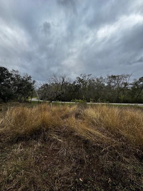 244 Rabbit Trail, Lake Jackson, Texas image 6