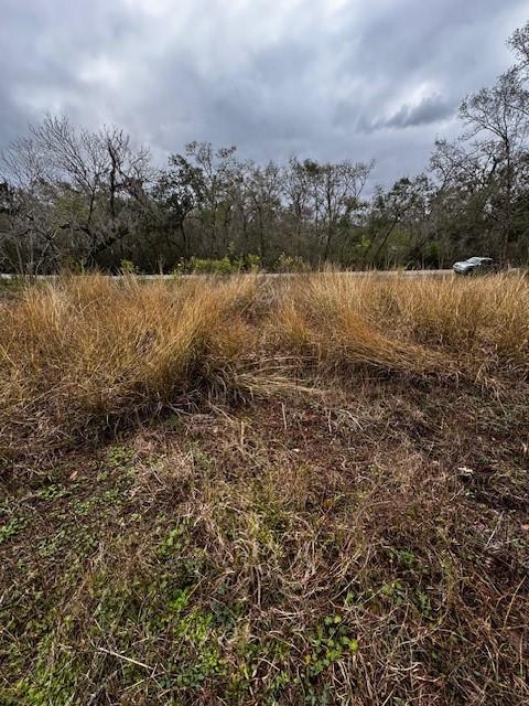 244 Rabbit Trail, Lake Jackson, Texas image 7