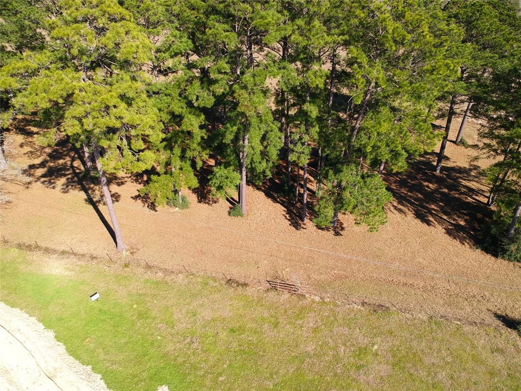 TBD Lakeland Ranch Lot 378, Hillister, Texas image 3