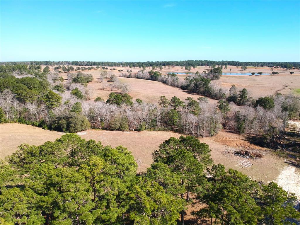 TBD Lakeland Ranch Lot 378, Hillister, Texas image 4