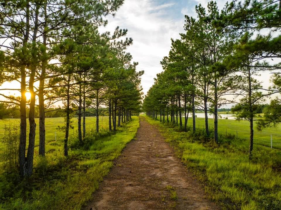 TBD Lakeland Ranch Lot 378, Hillister, Texas image 24