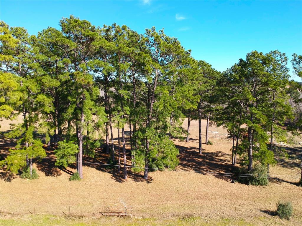 TBD Lakeland Ranch Lot 378, Hillister, Texas image 1