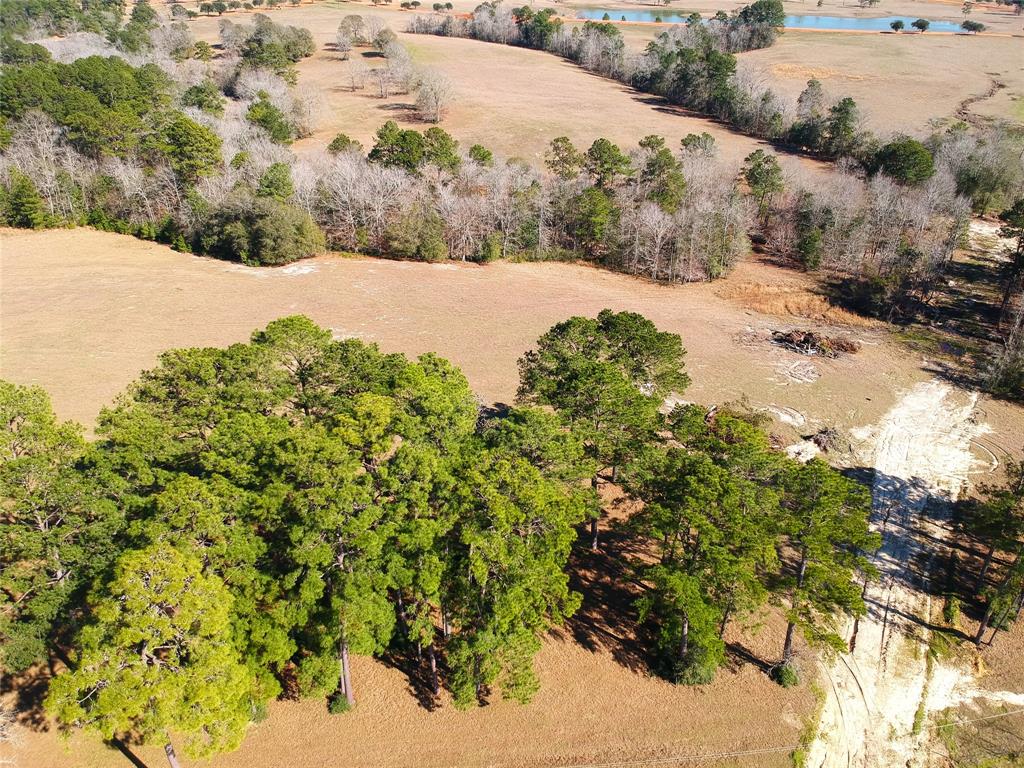 TBD Lakeland Ranch Lot 378, Hillister, Texas image 5