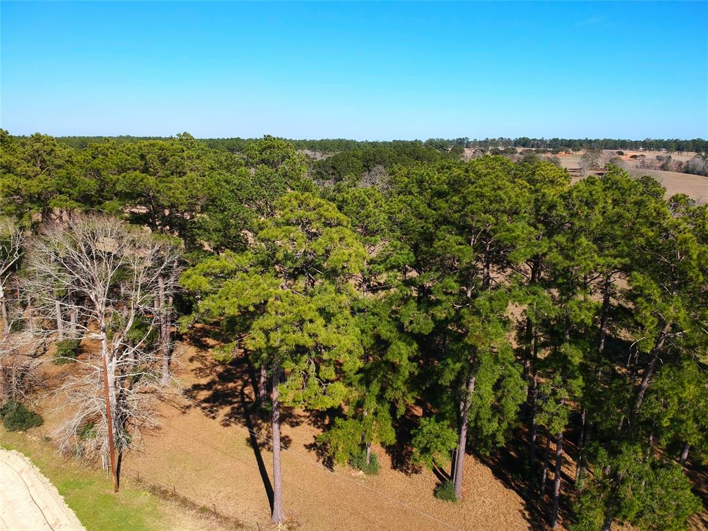 TBD Lakeland Ranch Lot 378, Hillister, Texas image 2