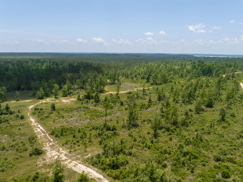 TBD Fm 355/ Chita Cemetary Road, Trinity, Texas image 18