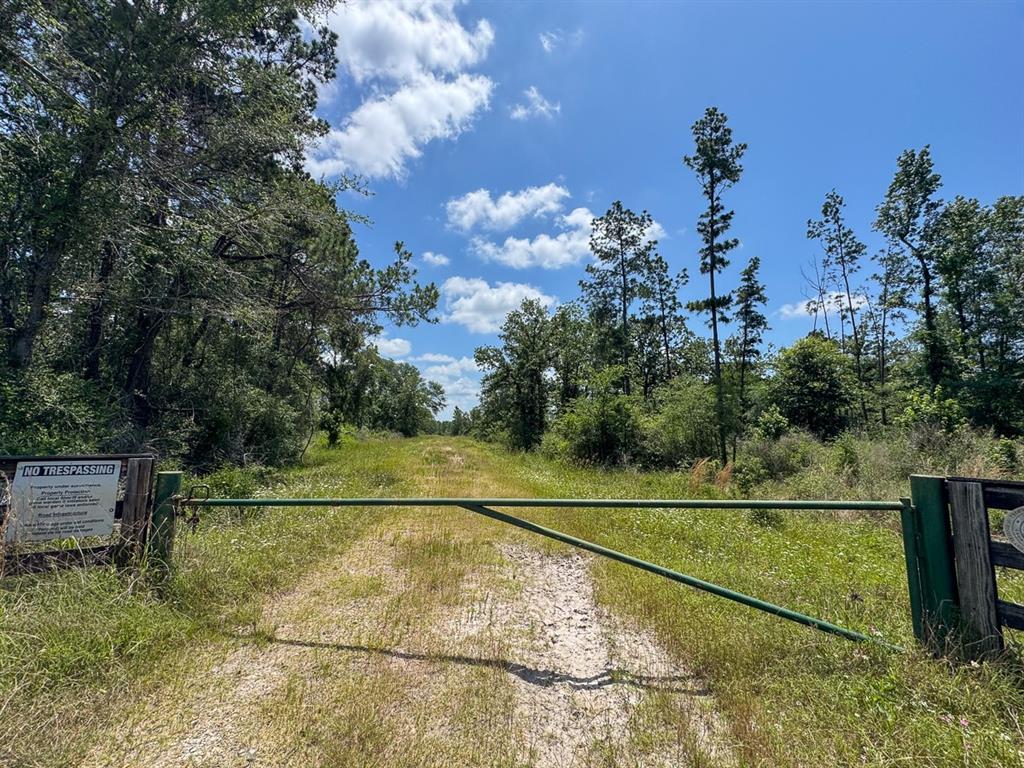 TBD Fm 355/ Chita Cemetary Road, Trinity, Texas image 33