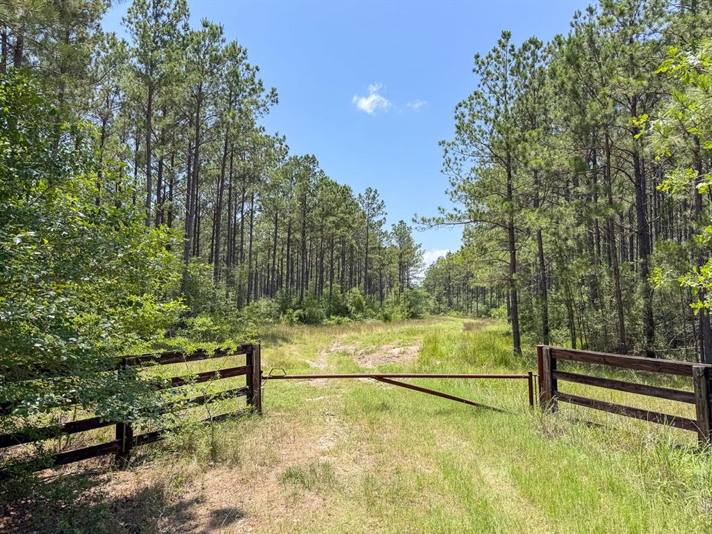 TBD FM 355/ Chita Cemetary Road