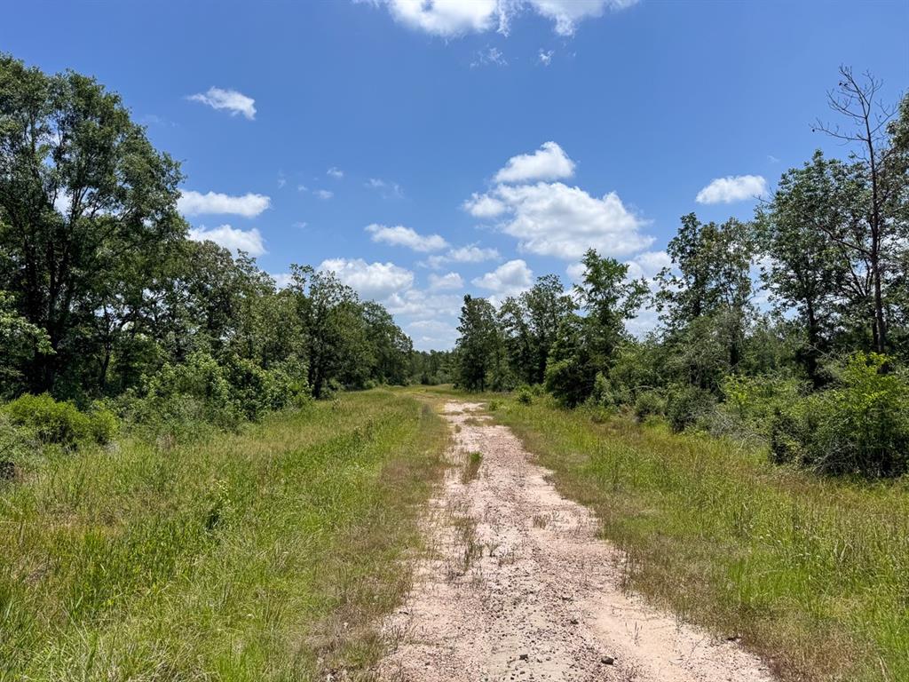TBD Fm 355/ Chita Cemetary Road, Trinity, Texas image 34