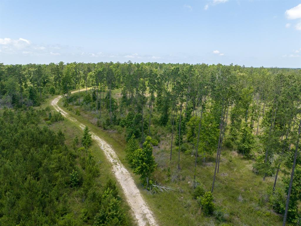 TBD Fm 355/ Chita Cemetary Road, Trinity, Texas image 9