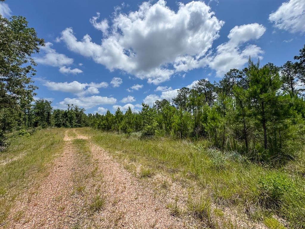 TBD Fm 355/ Chita Cemetary Road, Trinity, Texas image 40
