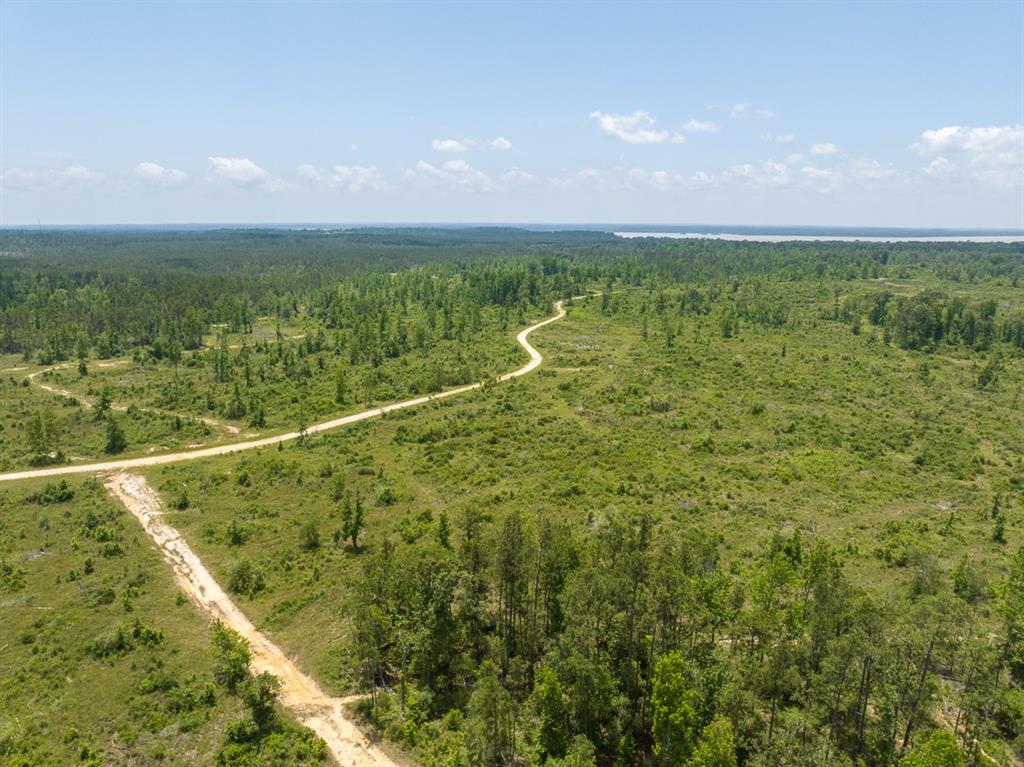 TBD Fm 355/ Chita Cemetary Road, Trinity, Texas image 17