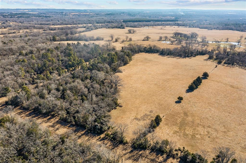 2538 An County Road 2211, Palestine, Texas image 13