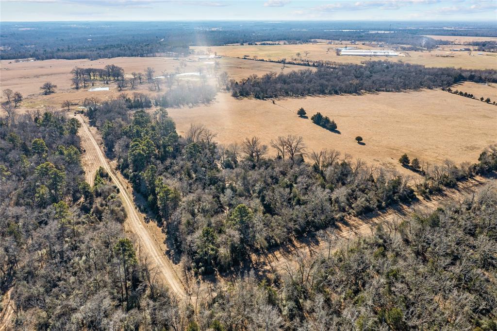 2538 An County Road 2211, Palestine, Texas image 17