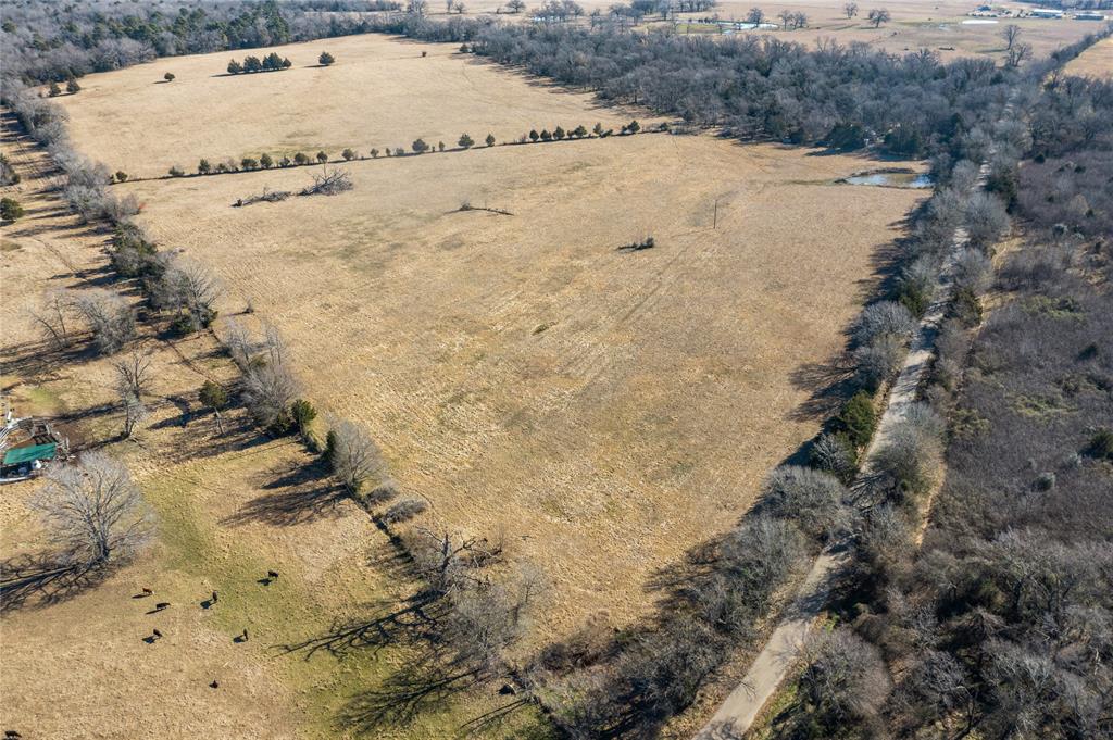 2538 An County Road 2211, Palestine, Texas image 19