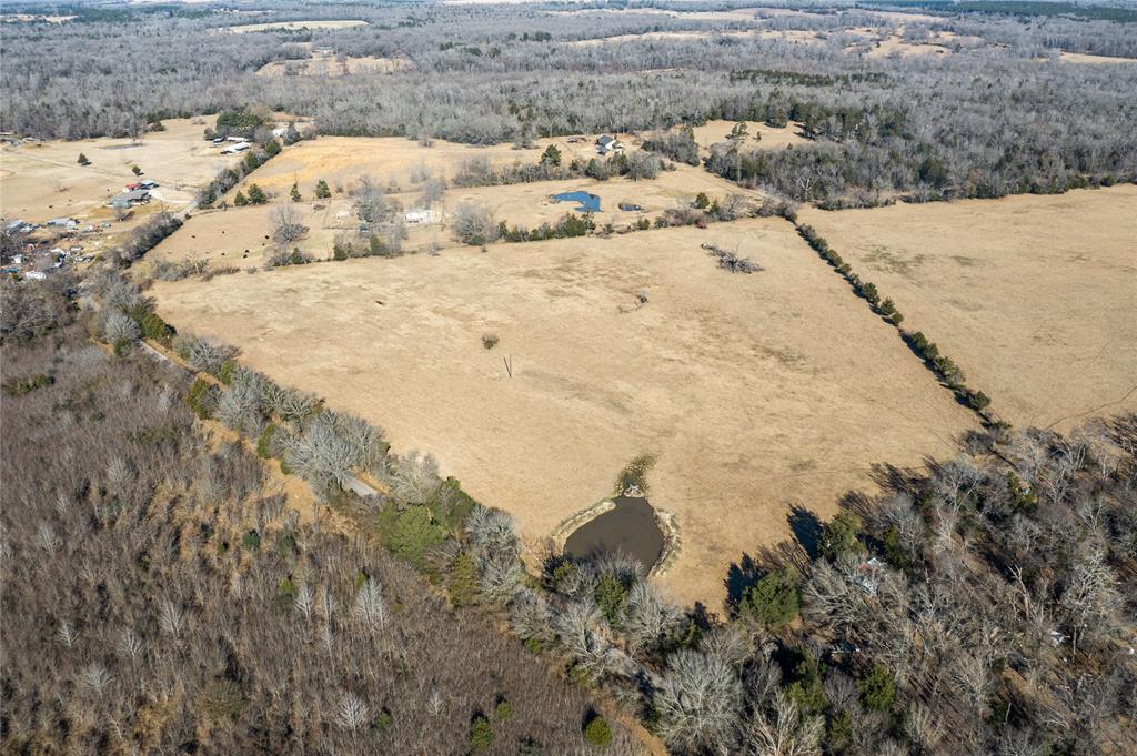 2538 An County Road 2211, Palestine, Texas image 11