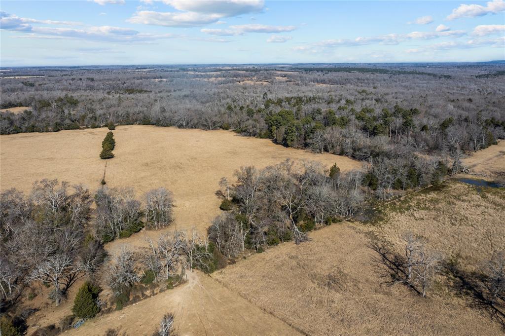 2538 An County Road 2211, Palestine, Texas image 12