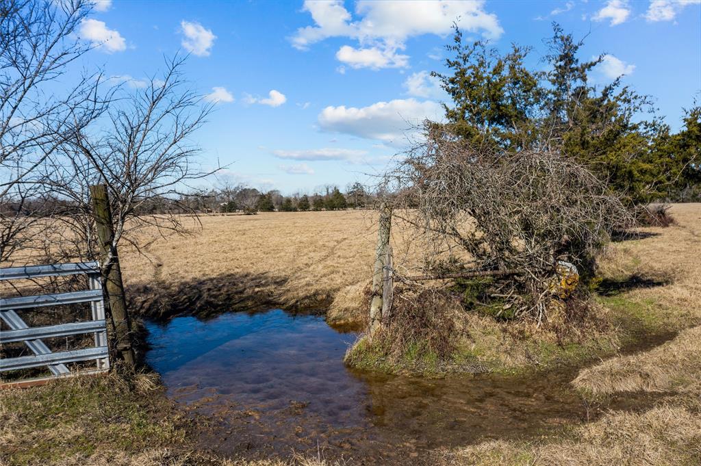 2538 An County Road 2211, Palestine, Texas image 24