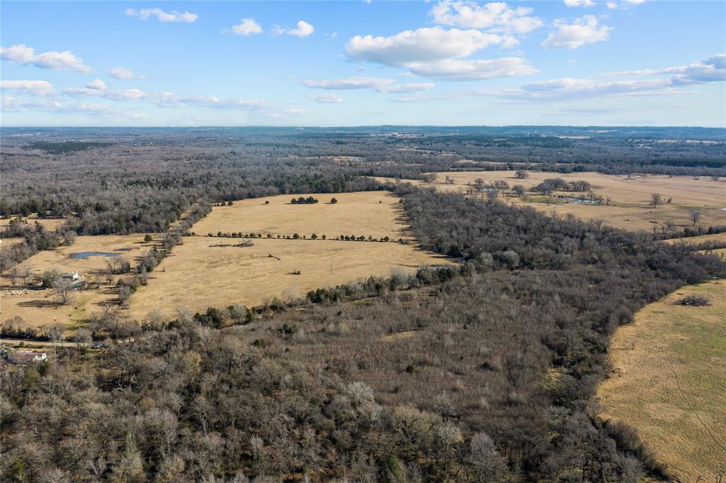 2538 An County Road 2211, Palestine, Texas image 1