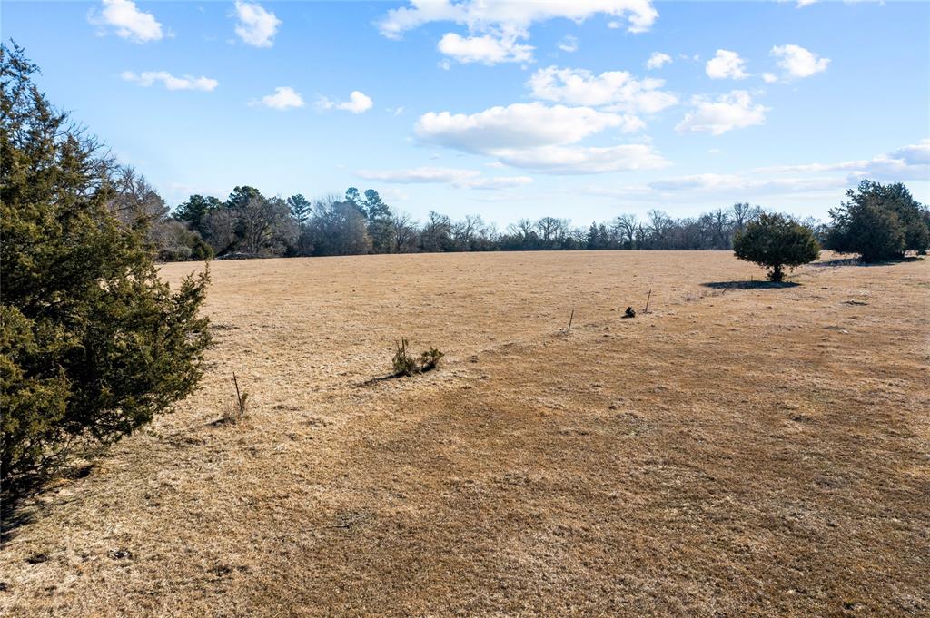 2538 An County Road 2211, Palestine, Texas image 21