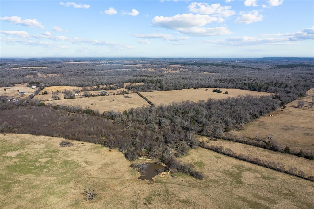 2538 An County Road 2211, Palestine, Texas image 10