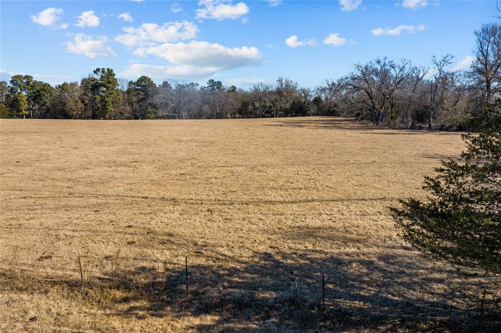 2538 An County Road 2211, Palestine, Texas image 16