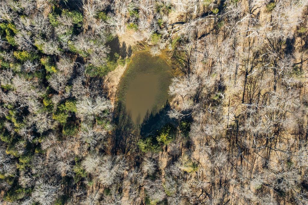 2538 An County Road 2211, Palestine, Texas image 14