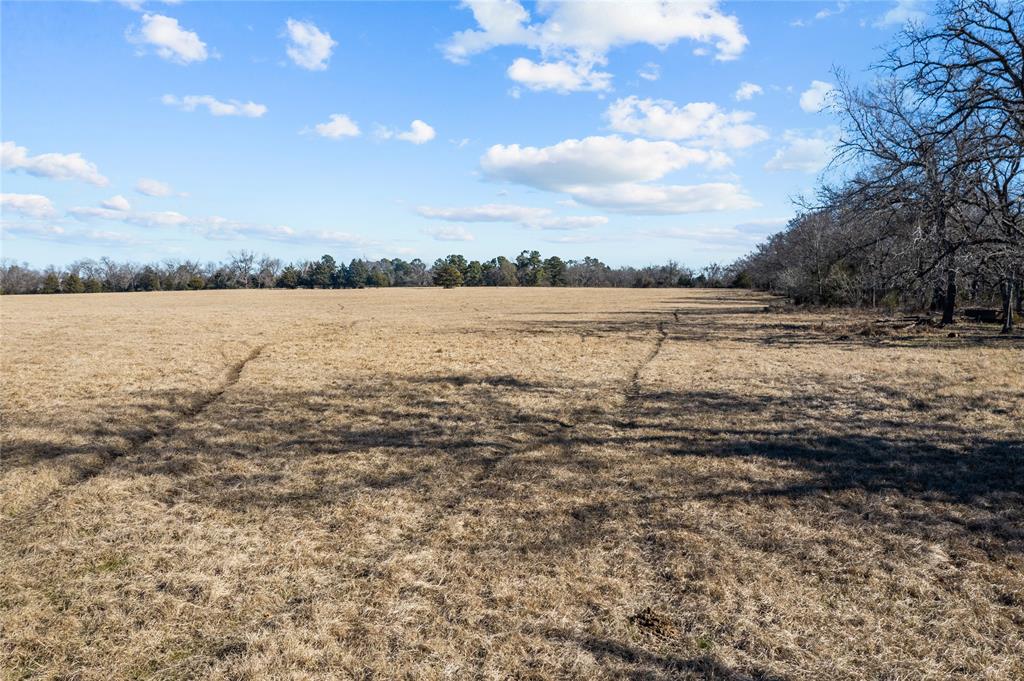 2538 An County Road 2211, Palestine, Texas image 22