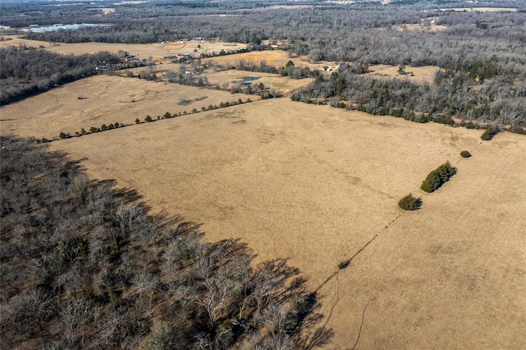 2538 An County Road 2211, Palestine, Texas image 3