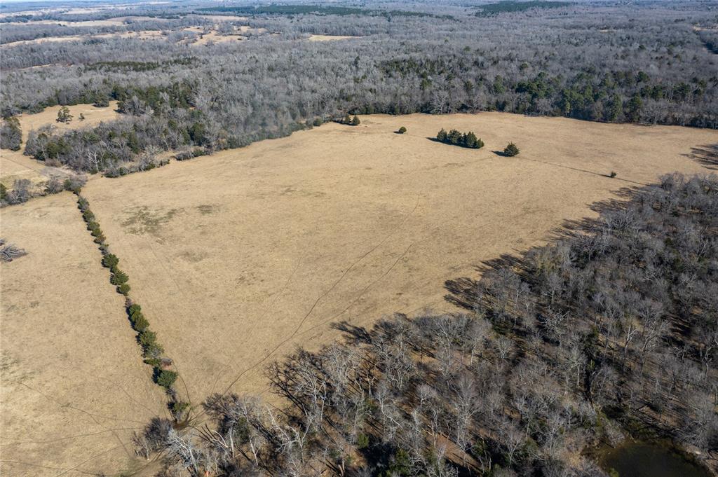 2538 An County Road 2211, Palestine, Texas image 9