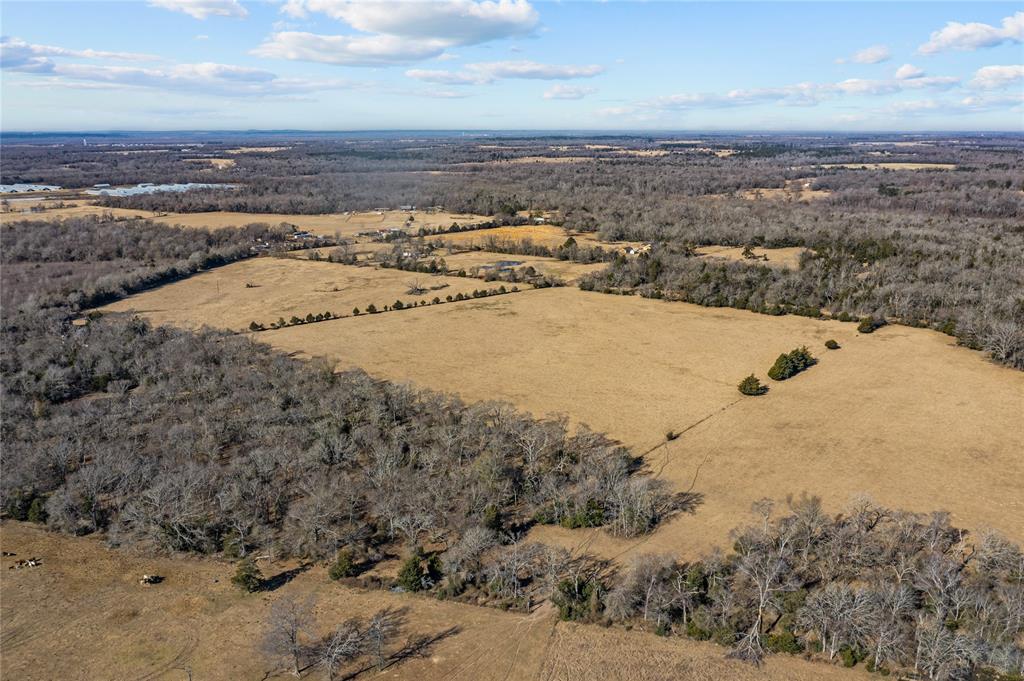 2538 An County Road 2211, Palestine, Texas image 6