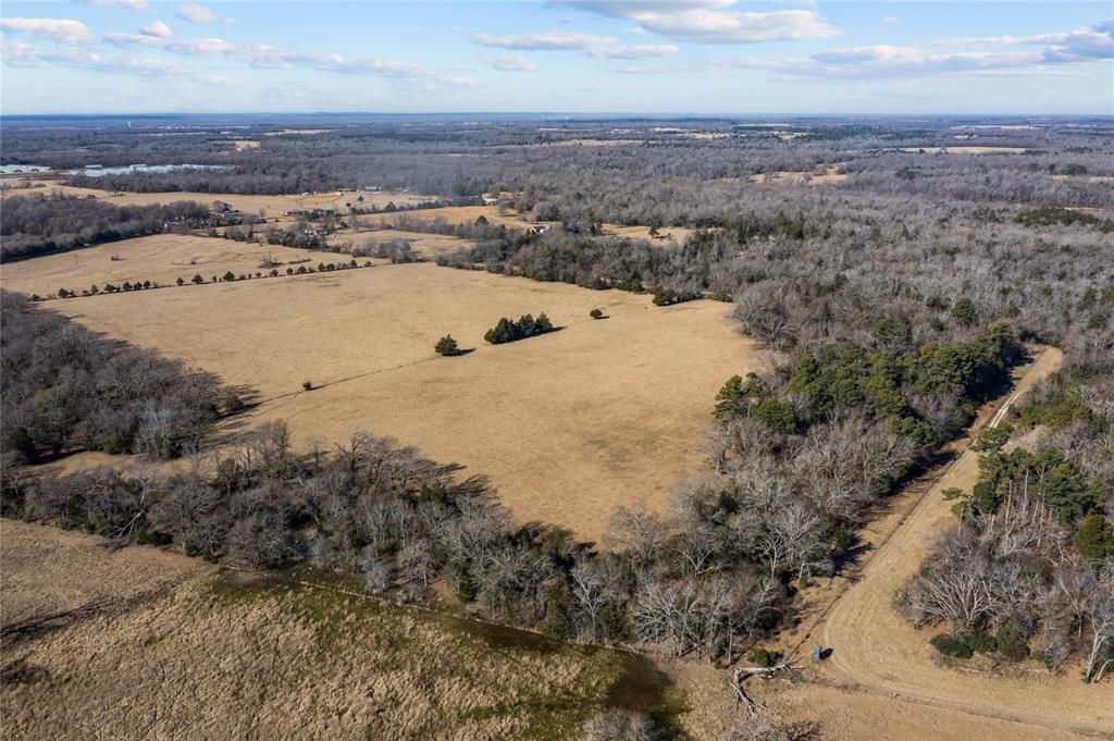 2538 An County Road 2211, Palestine, Texas image 7