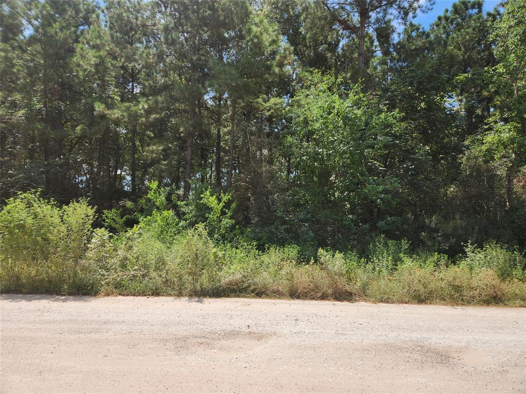 Lot 5 Tawnyberry Lane, Plantersville, Texas image 1