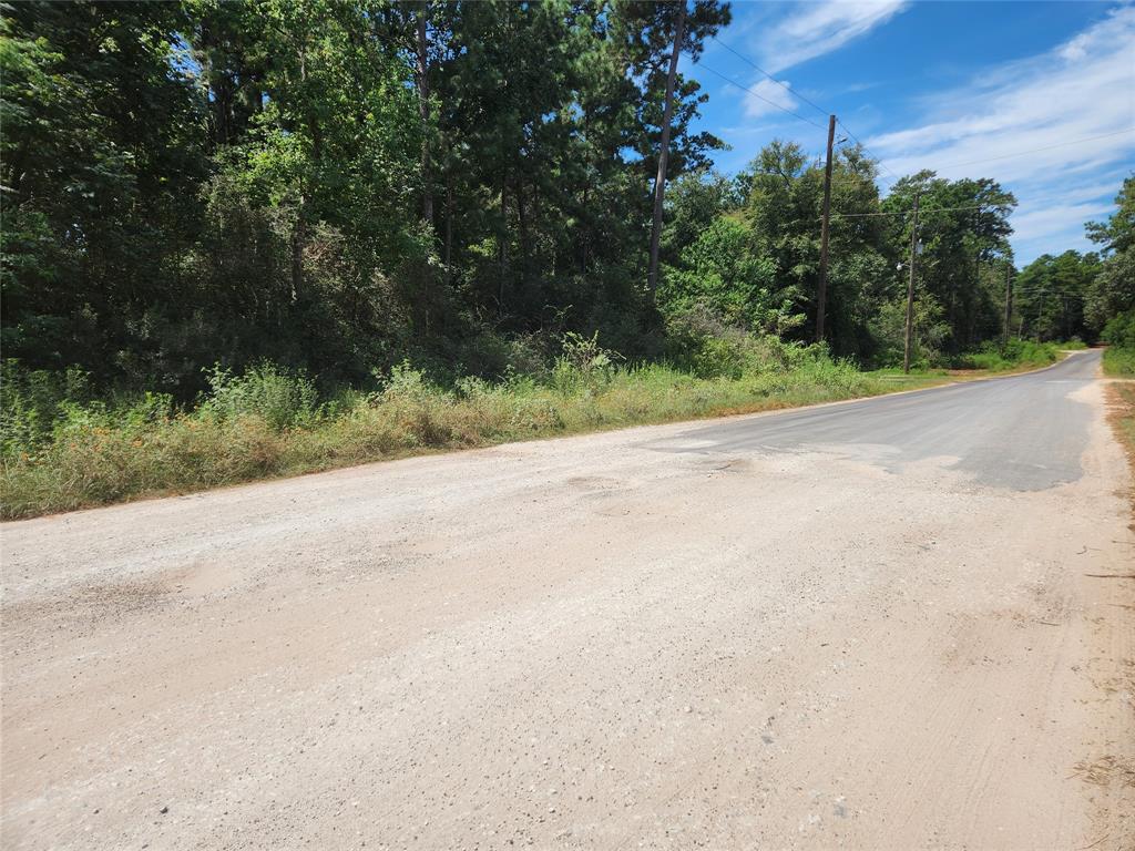 Lot 5 Tawnyberry Lane, Plantersville, Texas image 7