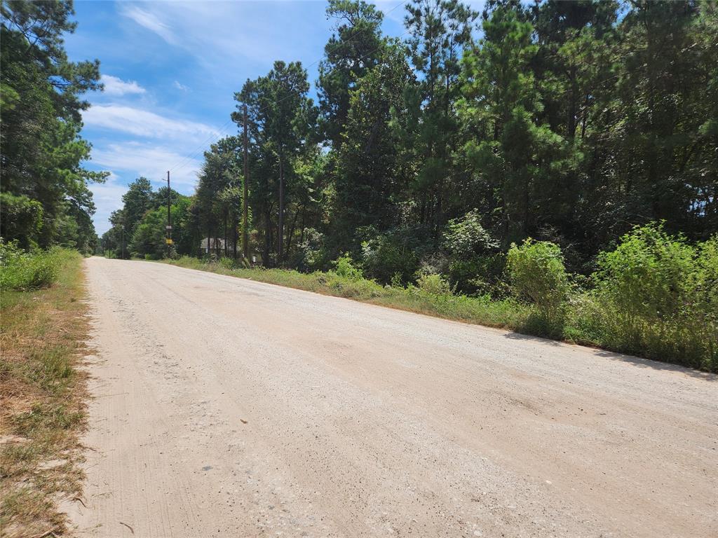 Lot 5 Tawnyberry Lane, Plantersville, Texas image 6