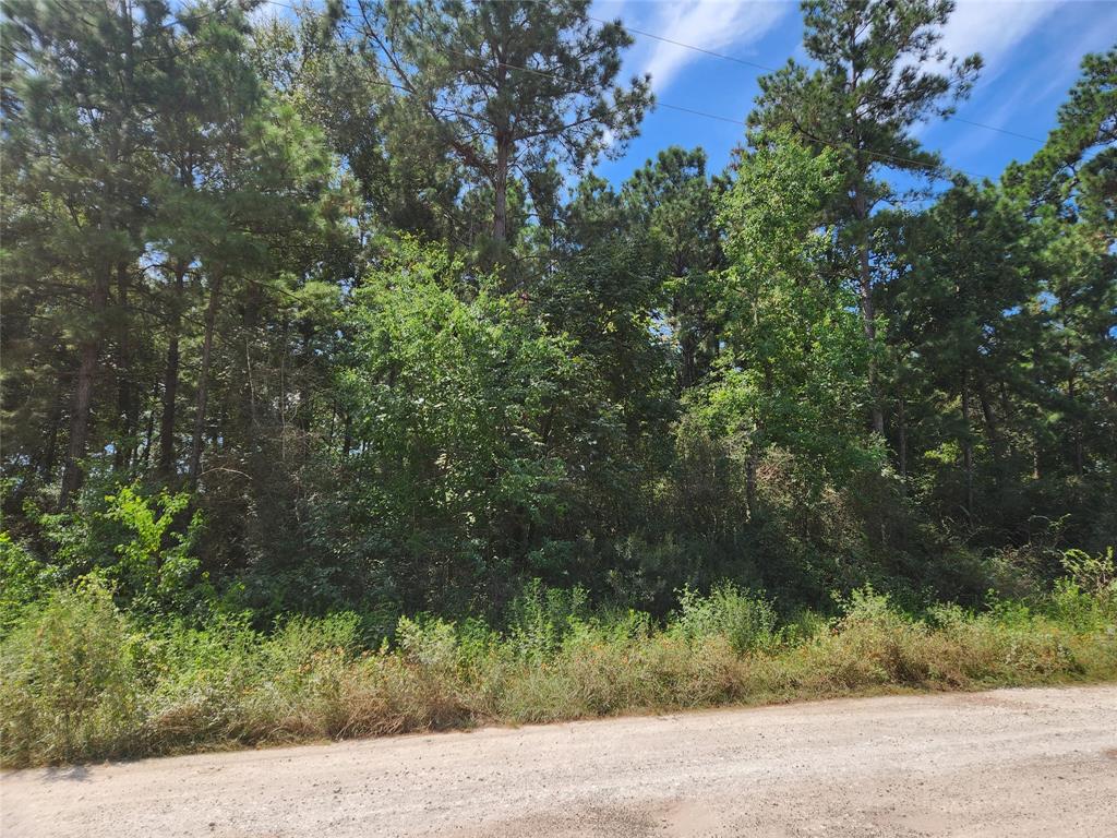 Lot 5 Tawnyberry Lane, Plantersville, Texas image 3