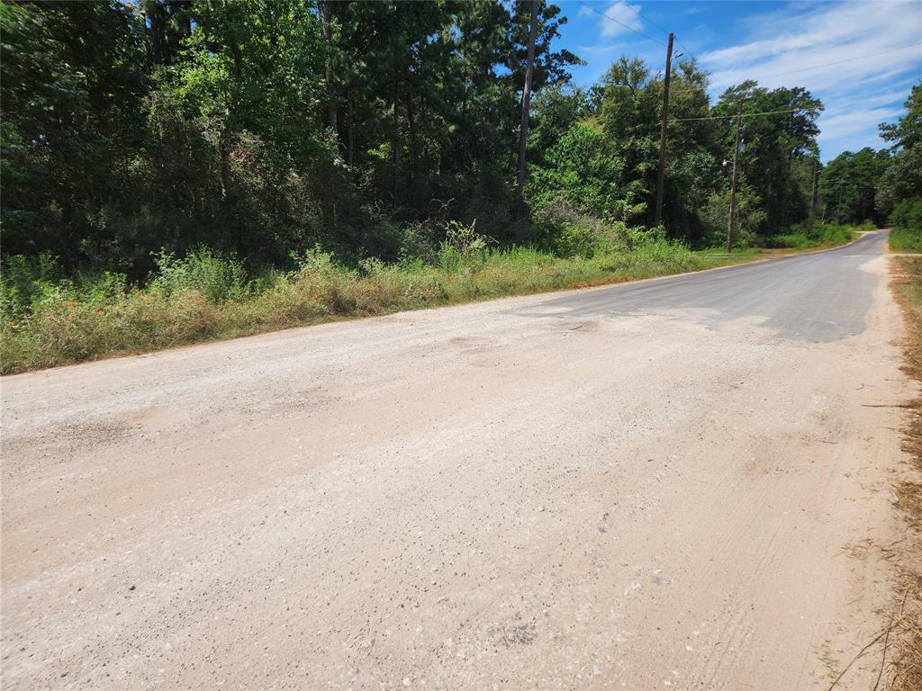 Lot 5 Tawnyberry Lane, Plantersville, Texas image 10