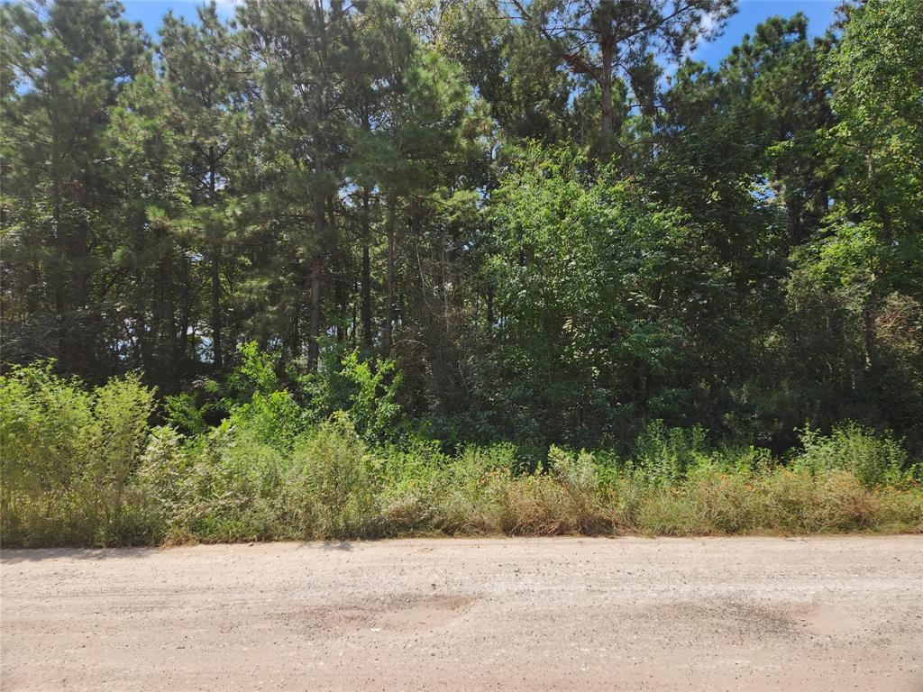 Lot 5 Tawnyberry Lane, Plantersville, Texas image 9