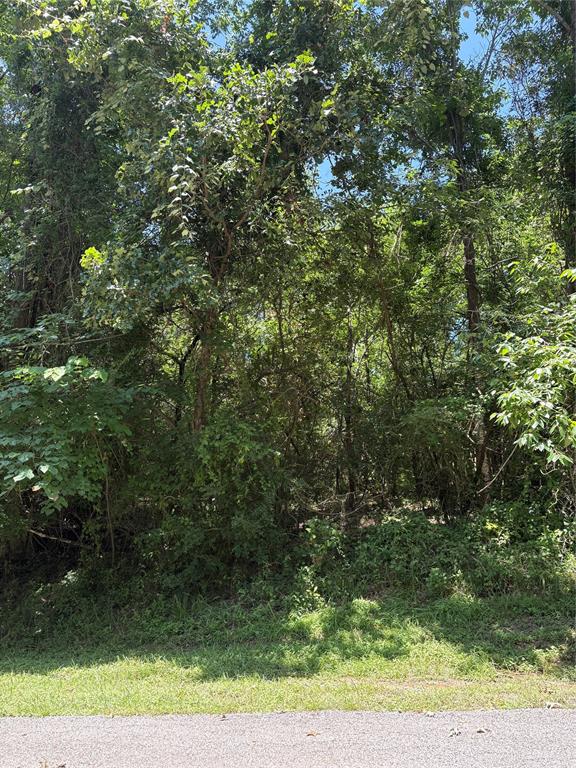 TBD Lake Drive, Onalaska, Texas image 4