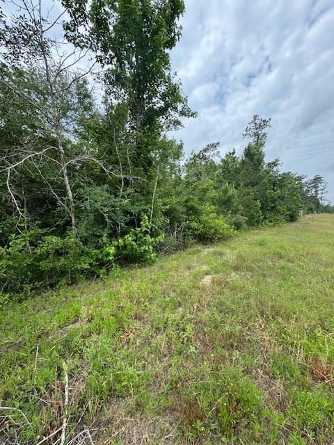 340 Iron Horse Road