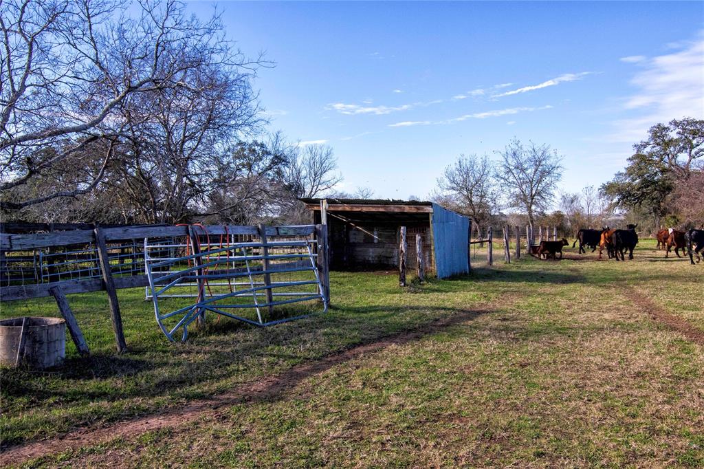 TBD County Road 214, Hallettsville, Texas image 10