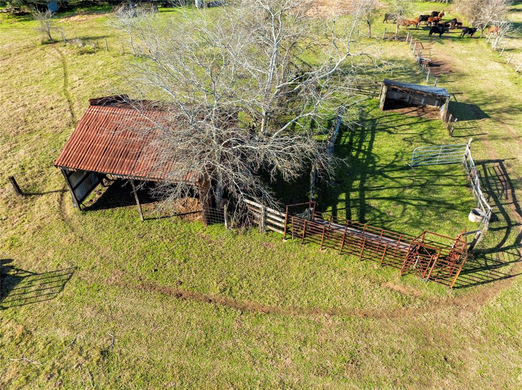 TBD County Road 214, Hallettsville, Texas image 7