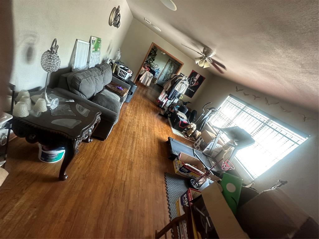 4011 Oxford Street, Houston, Texas image 5