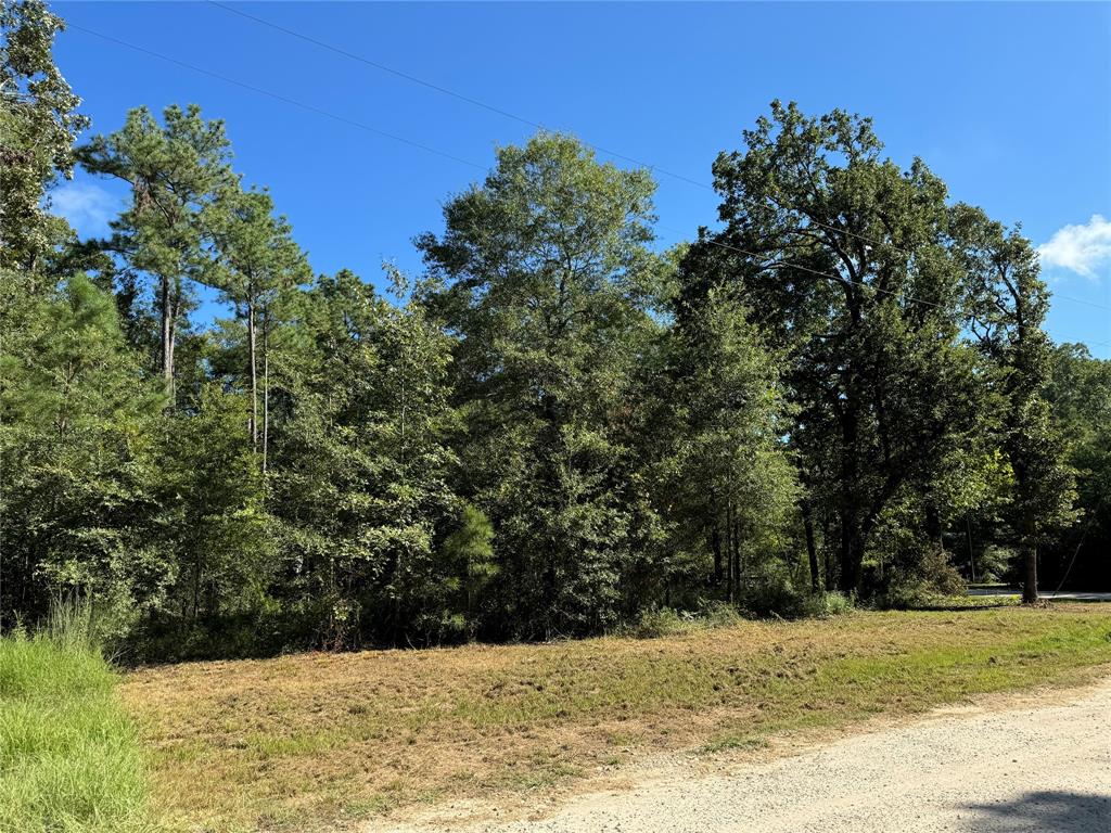 109 Parkpine, Livingston, Texas image 8