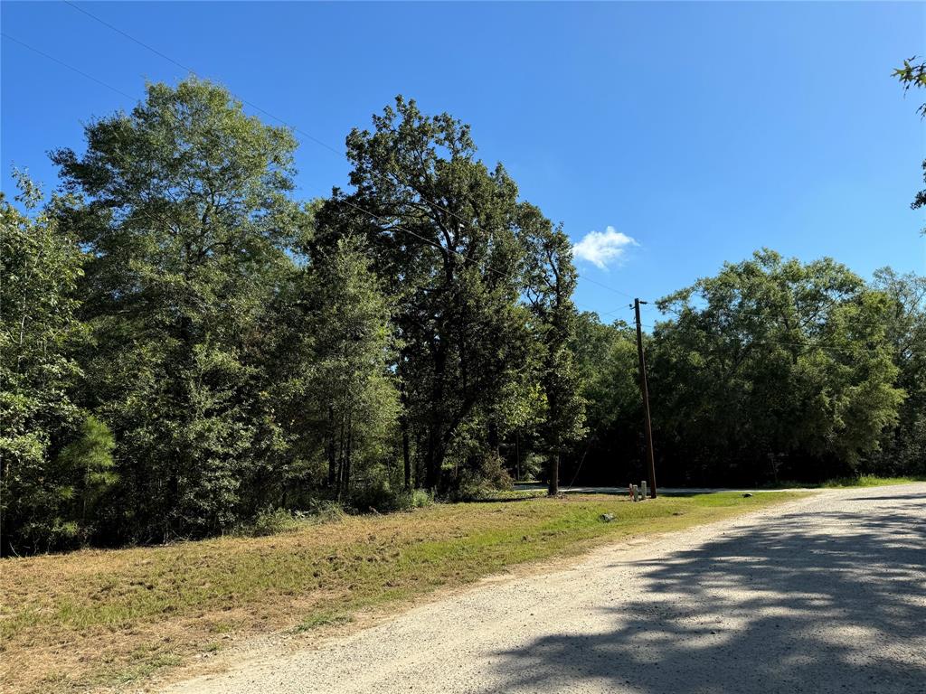 109 Parkpine, Livingston, Texas image 9