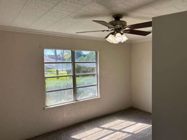 1112 Pecan Street, Clute, Texas image 5