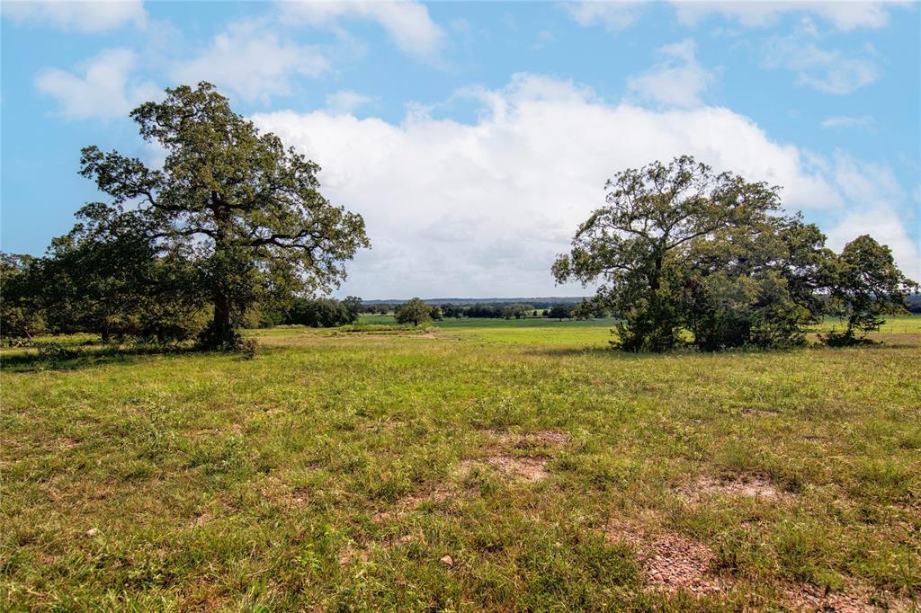 2542 Hwy 77, Giddings, Texas image 13