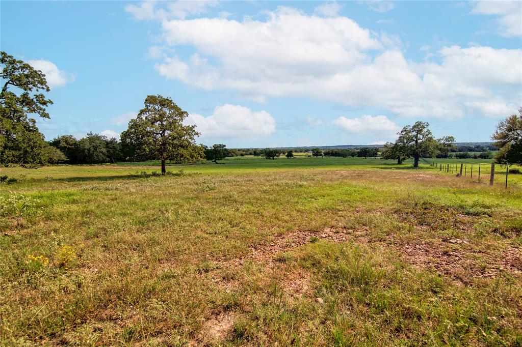 2542 Hwy 77, Giddings, Texas image 9